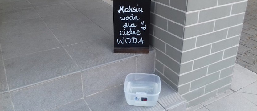 W trosce o braci mniejszych