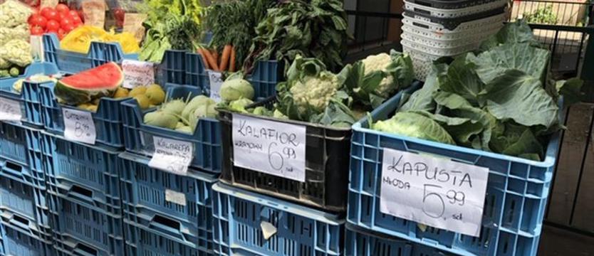 Susza daje popalić. Pietruszka na topie
