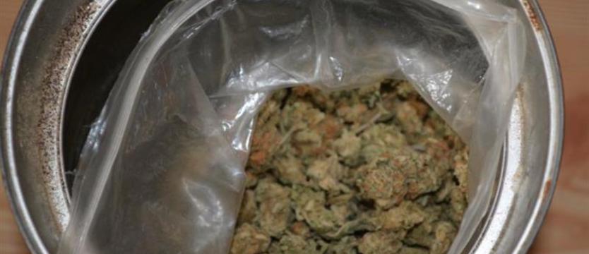 Marihuana w mieszkaniu. Wywąchał ją pies