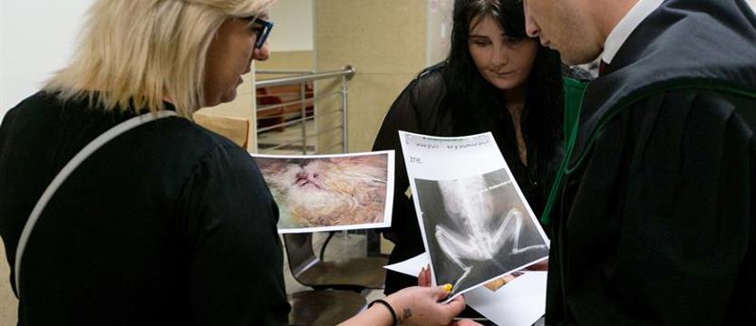 Bestialsko znęcał się nad zwierzętami. Rusza proces 19-latka