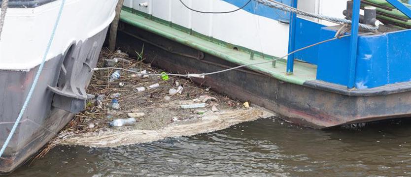 Ryby uwielbiają plastik