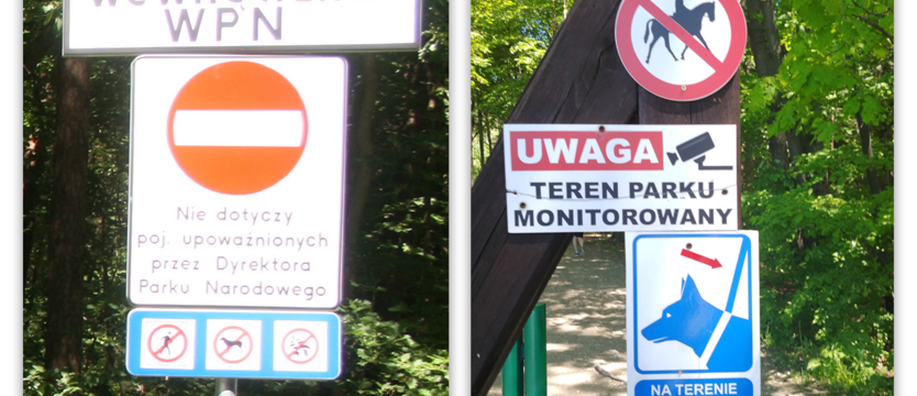 Czym różnią się te dwa zdjęcia?
