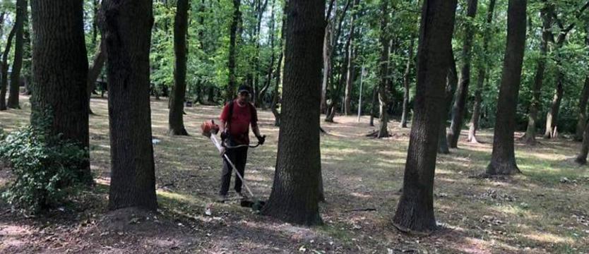 Skosić potrafią nawet… nic