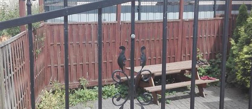 Gryzonie zaczęły kopać nory. Walczą ze szczurami