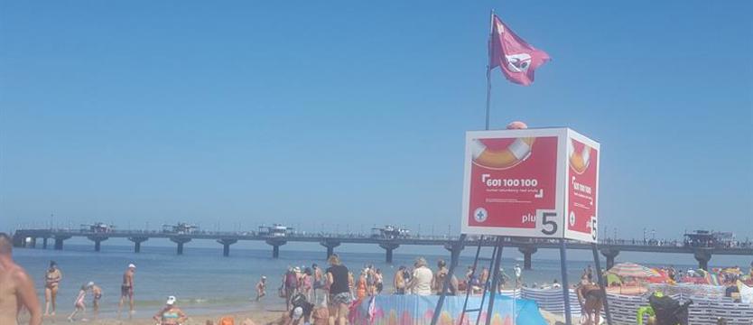 Alarm na kąpielisku w Międzyzdrojach. Sinice nie zepsują wakacji?