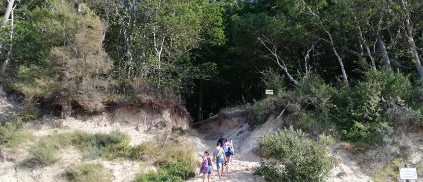 Park tyłem do turystów. Zejście w Świętouściu buduje się już trzeci rok