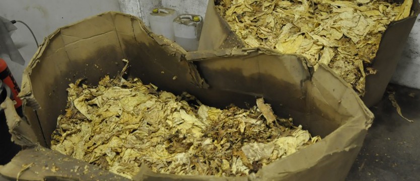 Produkowali papierosy na masową skalę