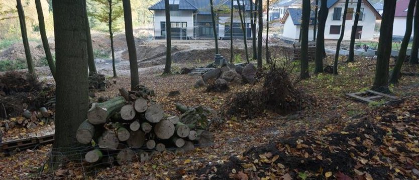 Ochrona przyrody a interes deweloperów. Domki na polanie