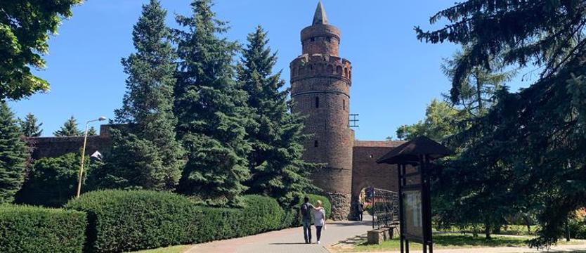 Walczy o dzieci swojego brata