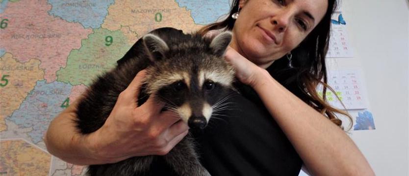Przetarg na budowę „Dzikiej Ostoi”