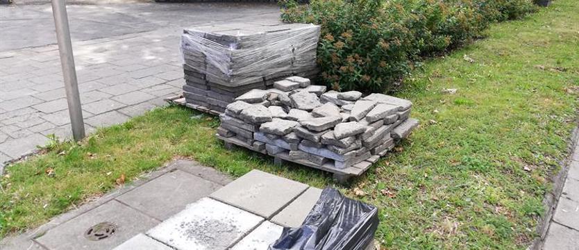 Nie szkoda zieleni?
