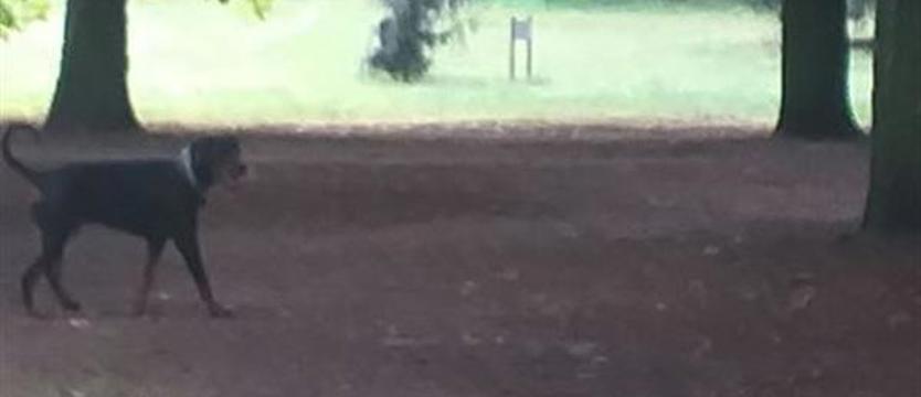 Groźby i wyzwiska z powodu pochodzenia. Niebezpieczny park Kasprowicza