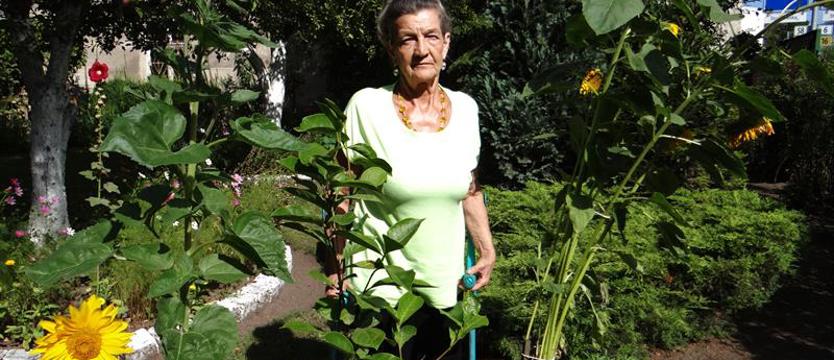 Cały Szczecin w kwiatach. Zielony azyl na gruzowisku