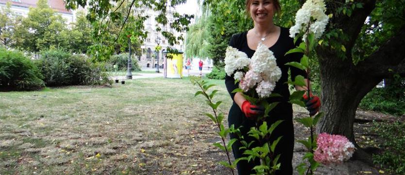 „Nowe życie placu”, czyli hamaki i (nie tylko) róże