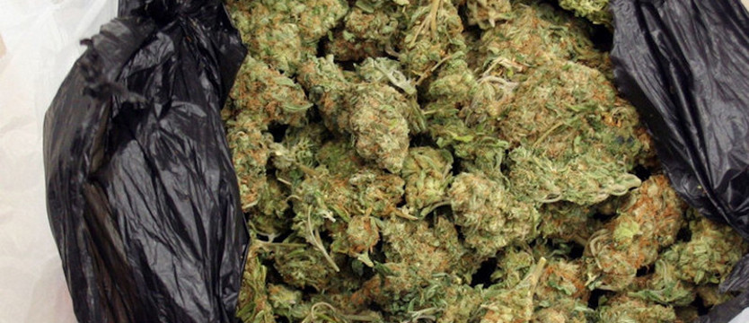 Marihuana w przesyłce kurierskiej i mieszkaniu