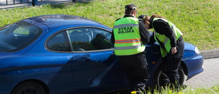 Telefon ciągle zajęty. Trudno się dodzwonić do Straży Miejskiej