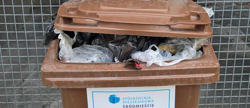 Torba foliowa to plastik?