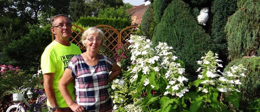 W powodzi kwiatów, inspiracji i biedronek