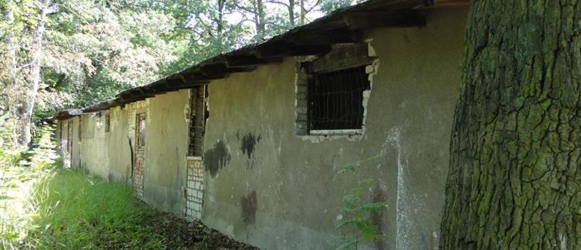 Miłosierna gmina? Mieszkania socjalne powstaną w Nowym Czarnowie