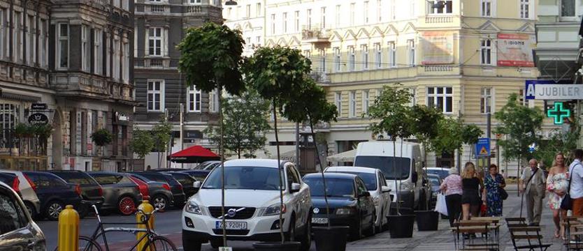 Drzewa (znów) powędrują