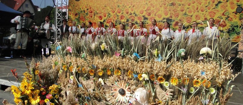 Archidiecezjalne i gminne święto plonów w Gryfinie