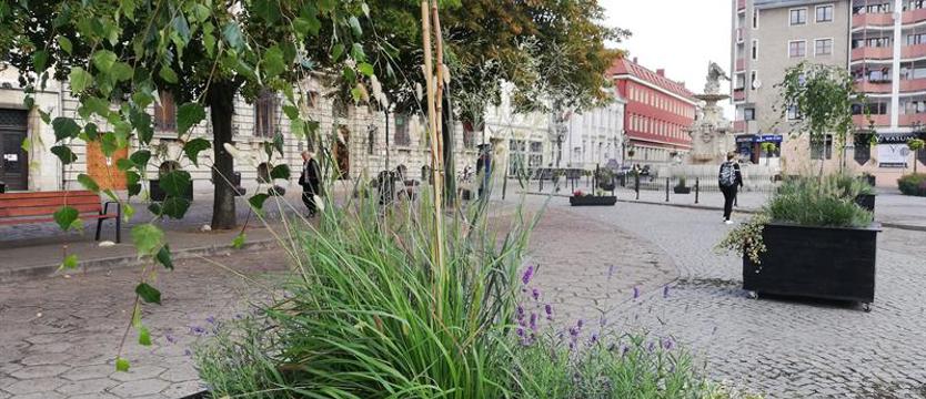 Śniadanie, kino i drzewo dźwięków