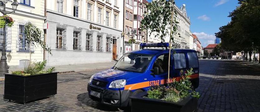 Nowe życie placu. Orzeł Biały zamknięty dla parkowania na dłużej