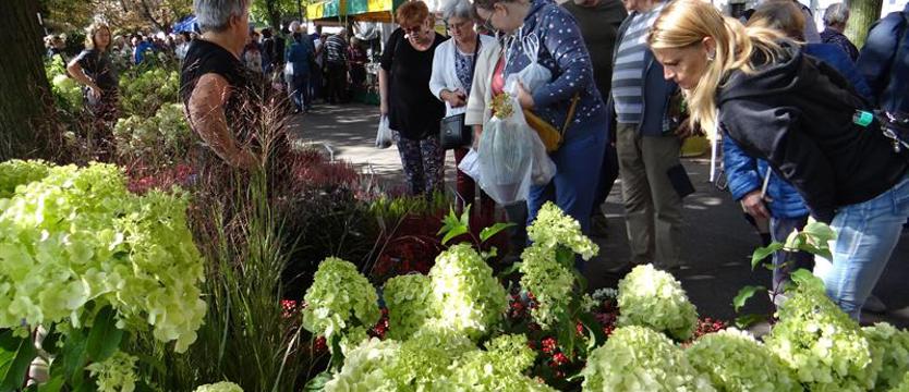 Pamiętajcie o ogrodach – hasła i nagrody