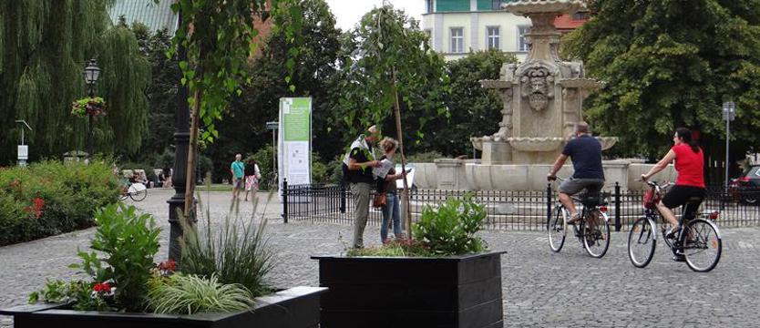 Liczenie rowerzystów i kino pod chmurką