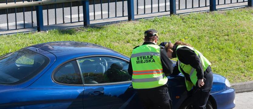 Wolne etaty w Straży Miejskiej, praca czeka