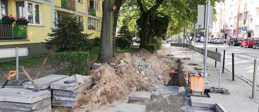 Zieleni nie szkoda?