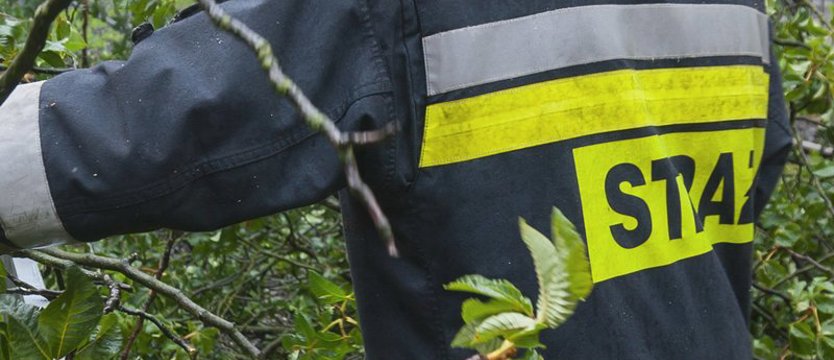 Strażak z Zachodniopomorskiego ranny podczas usuwania drzewa