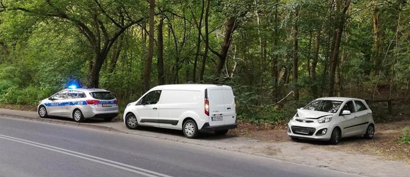 Drzewo spadło na samochód