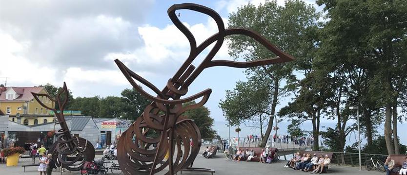 Wielkie sprzątanie plaży