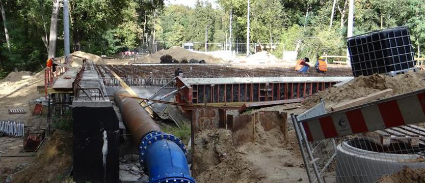 Wyłania się wiadukt, sadzą krzewy
