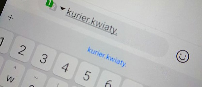 Jak głosować w konkursie?