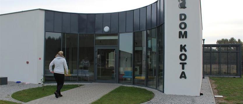 Psiaki i kociaki w roli głównej