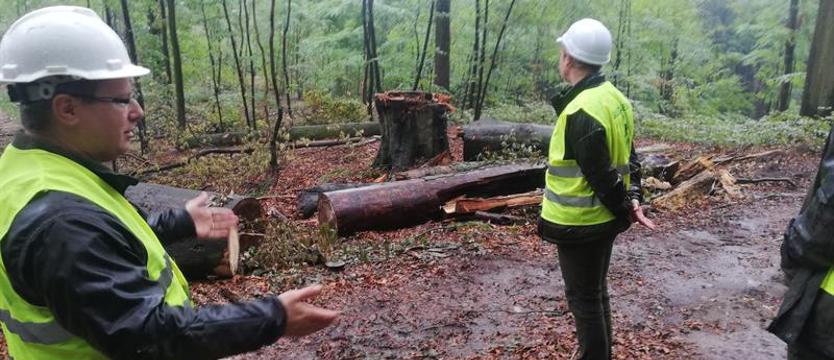 Puszczy Bukowej ciągle przybywa