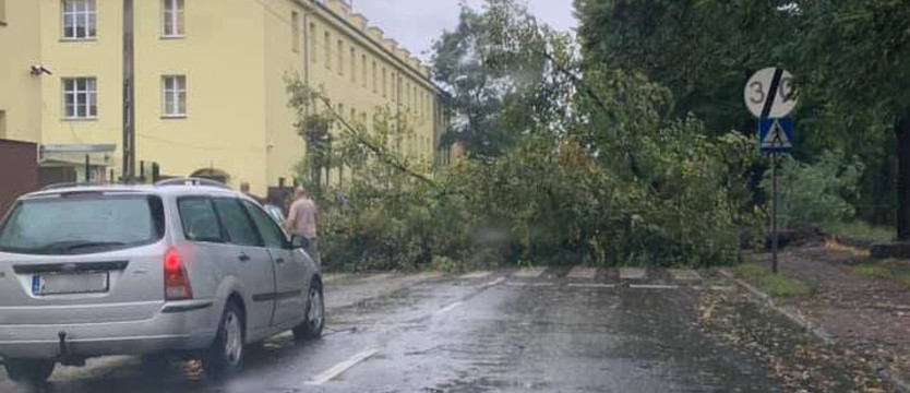 Wiatr połamał drzewa. Problemy z przejazdem