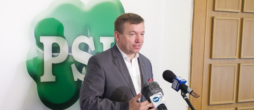 PSL proponuje. Ofensywa energii odnawialnej