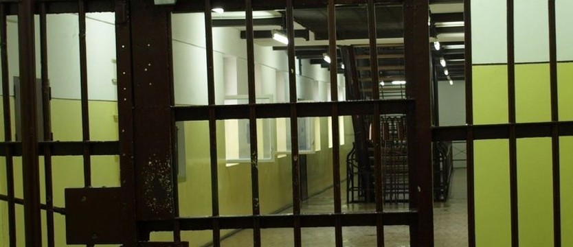 Zarzut dla policjanta, który miał molestować dziewczynkę