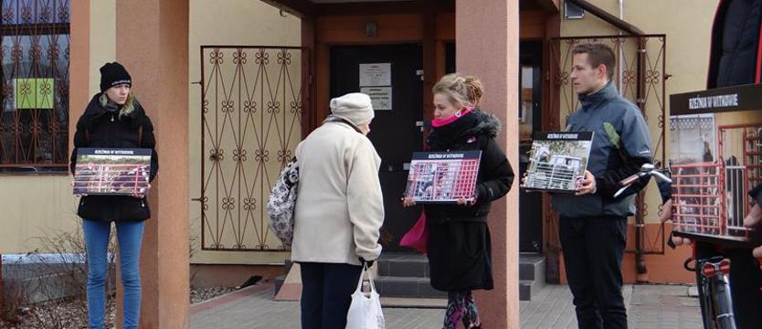 Pierwszy taki wyrok w Polsce. Więzienie za bicie zwierząt