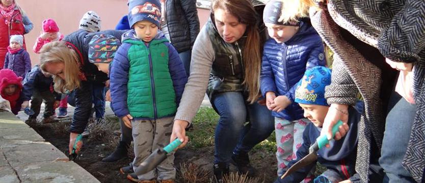 Kolorowe osiedle. Tulipany dla Drzetowa-Grabowa