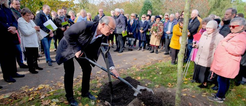 Posadzili Drzewka Pamięci dla matematyka, muzyka, śpiewaczki i żeglarza
