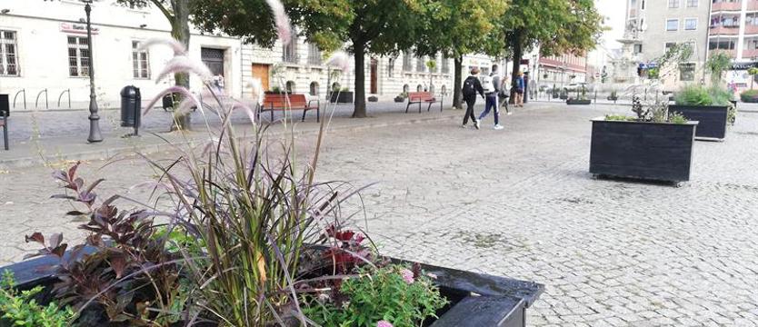 Lodowisko na placu Orła Białego? [SONDA]