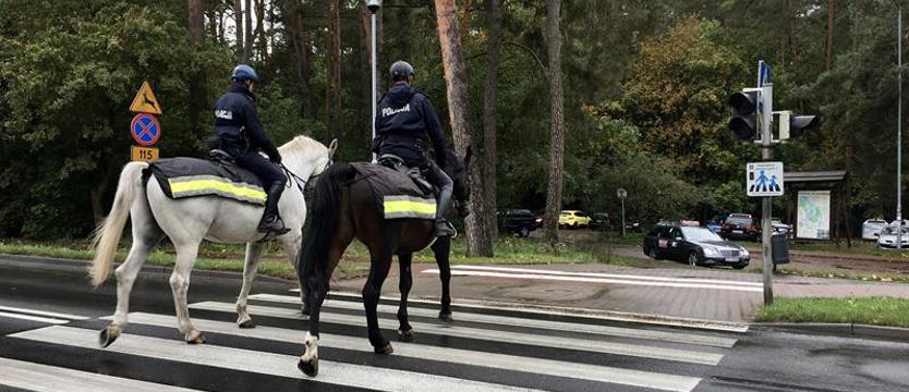 Z kopyta na patrol