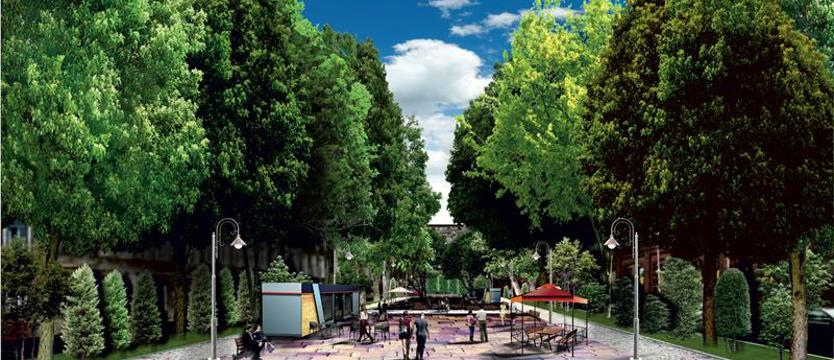 Pomysł radnego – zielona promenada wzdłuż ulicy Narutowicza