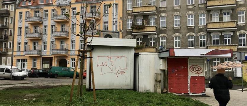 Szczecinianie postawią na zielone?
