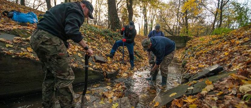 Odnaleźli płyty nagrobne w parku Chopina w Szczecinie