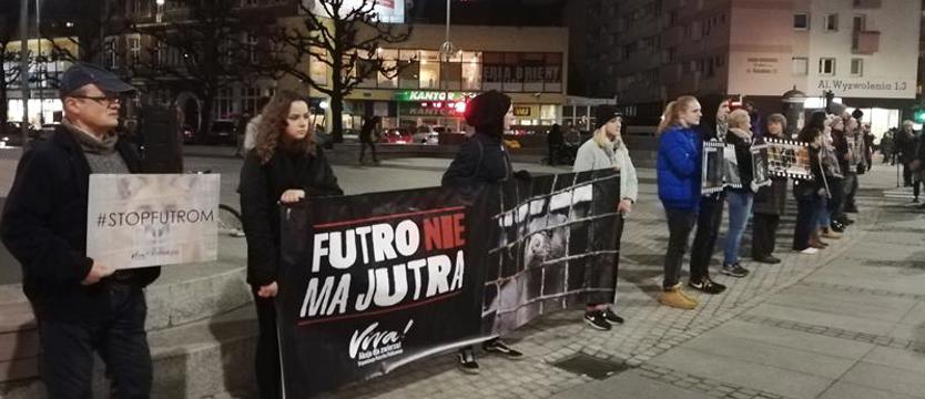 STOP futrom cierpienia. Nie zabijaj!